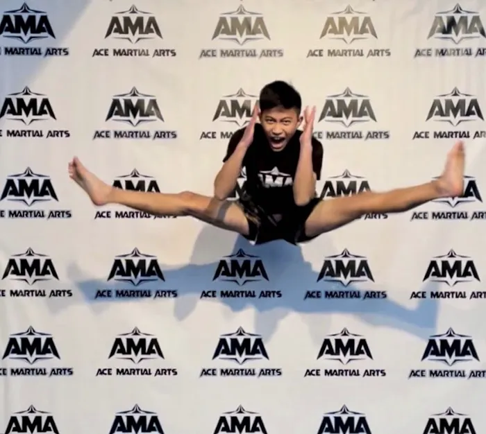 Ace Martial Arts Picture 4