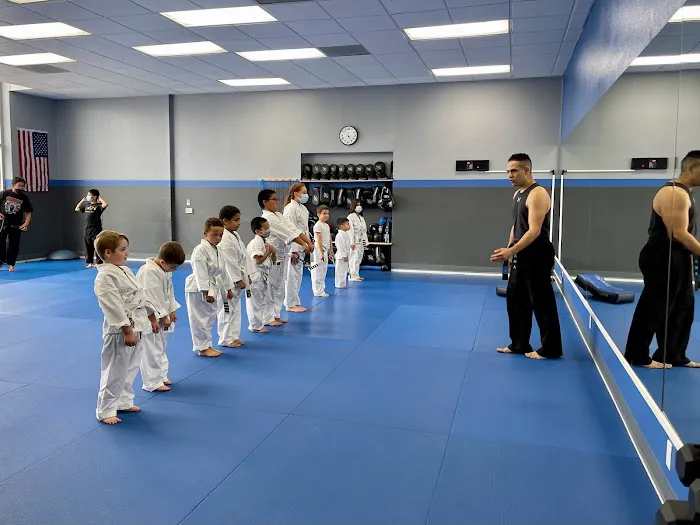 Ace Martial Arts Picture 5