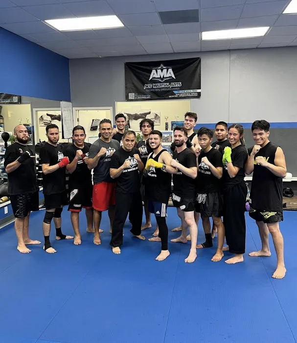 Ace Martial Arts Picture 8