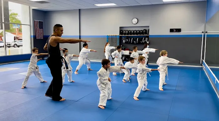 Ace Martial Arts Picture 9