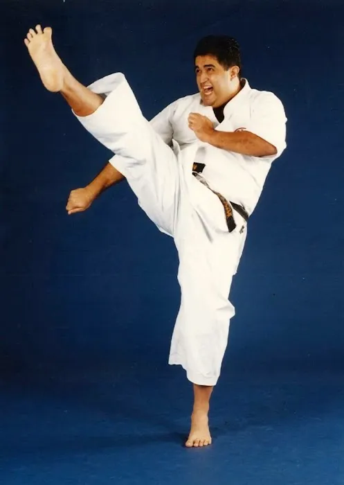 Hojati Karate - West Hills Picture 7