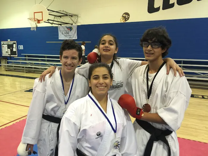 Hojati Karate - West Hills Picture 10