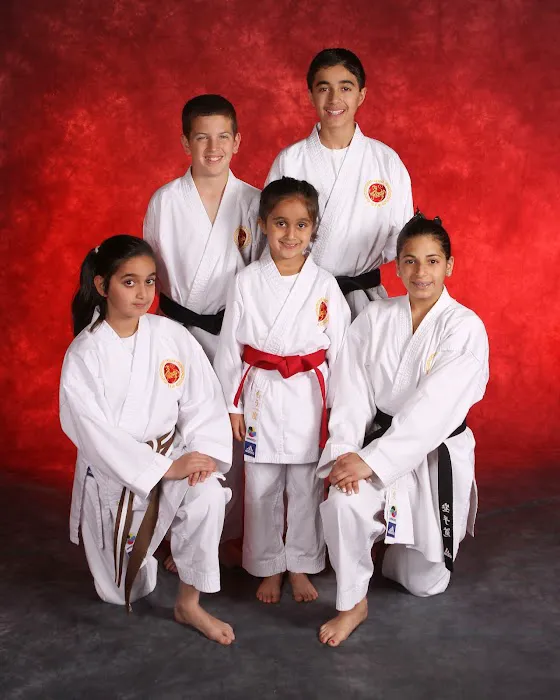 Hojati Karate - West Hills Picture 9