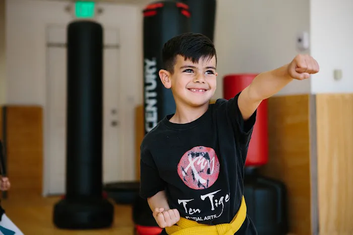 Ten Tigers Martial Arts Picture 5