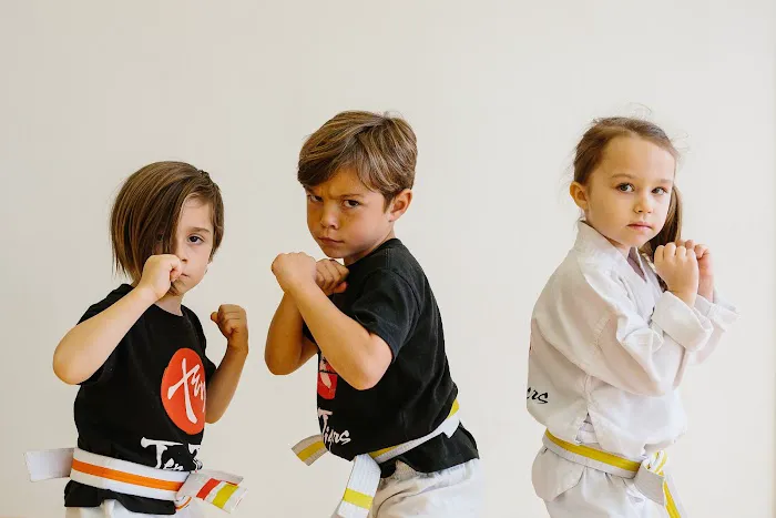 Ten Tigers Martial Arts Picture 4