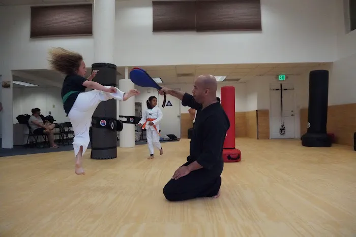 Ten Tigers Martial Arts Picture 7