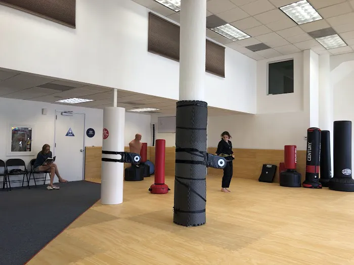 Ten Tigers Martial Arts Picture 3