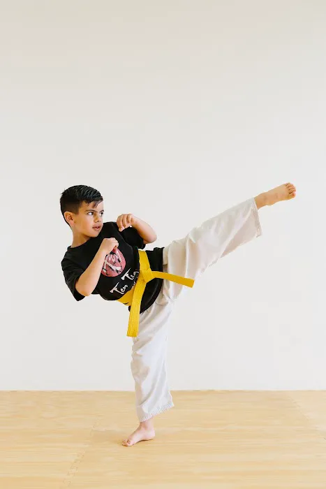 Ten Tigers Martial Arts Picture 8