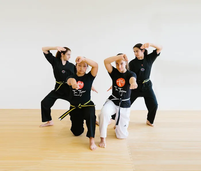 Ten Tigers Martial Arts Picture 10