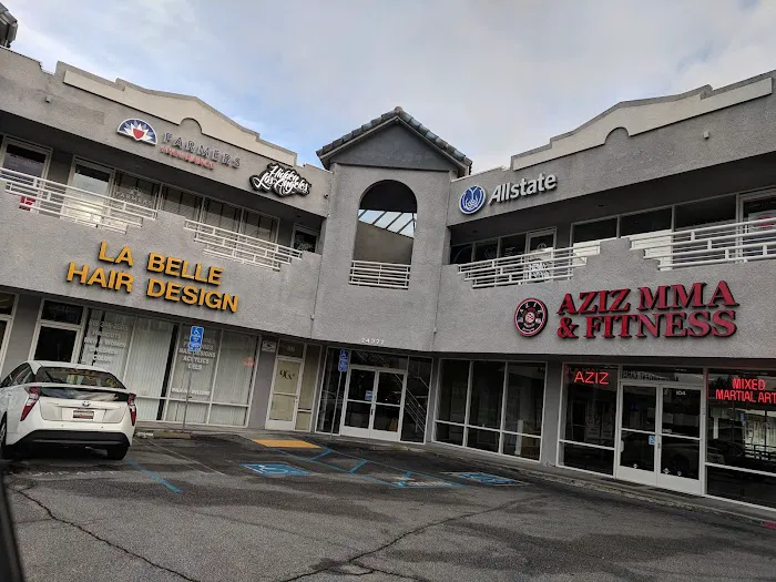 Aziz Mixed Martial Arts Inc Picture 1