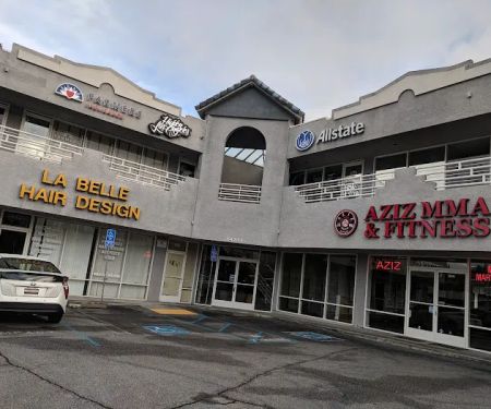 Aziz Mixed Martial Arts Inc