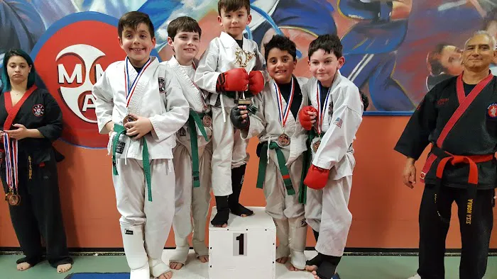 Aziz Mixed Martial Arts Inc Picture 4