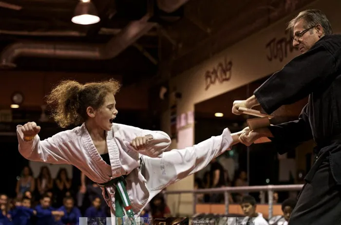 Aziz Mixed Martial Arts Inc Picture 8