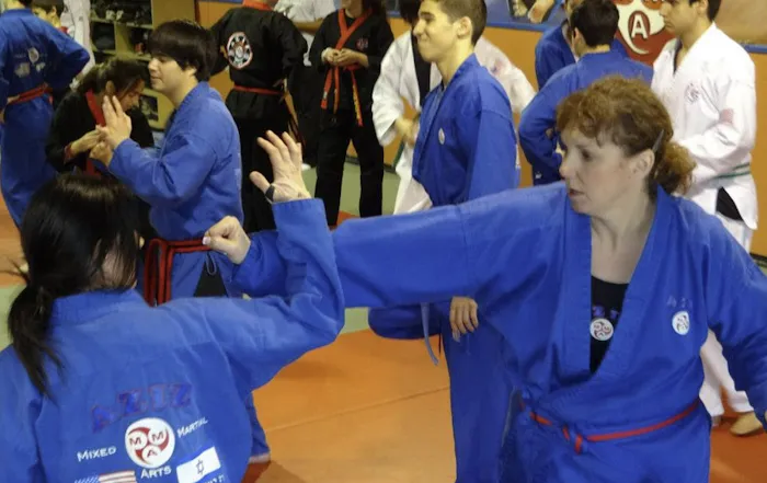 Aziz Mixed Martial Arts Inc Picture 9