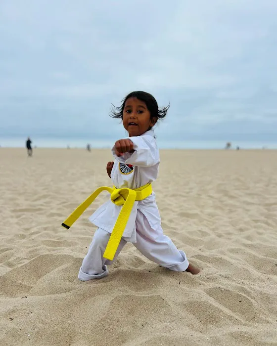 United Studios of Self Defense- Costa Mesa Picture 2