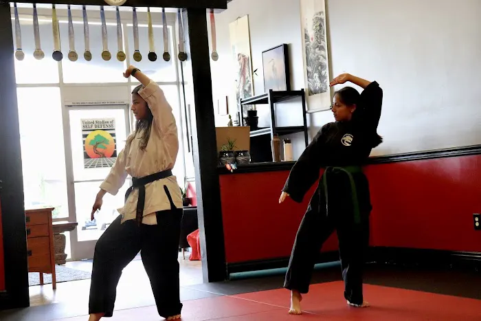 United Studios of Self Defense- Costa Mesa Picture 6