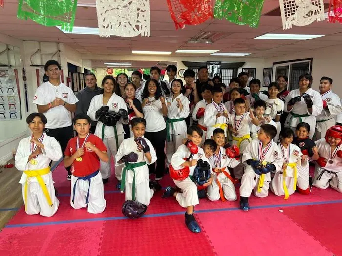 Toyama Karate-Do Academy Picture 6