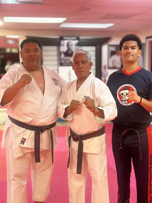 Toyama Karate-Do Academy Picture 10