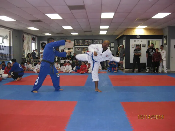 KUKKIWON Taekwondo Picture 3