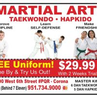 KUKKIWON Taekwondo ico