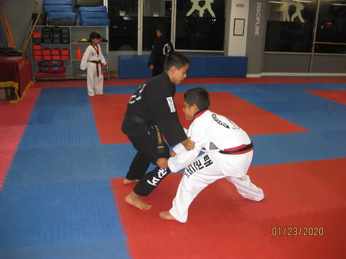 KUKKIWON Taekwondo Picture 7