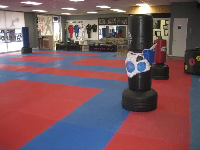 KUKKIWON Taekwondo Picture 6