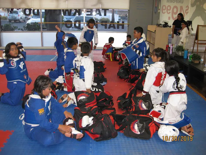 KUKKIWON Taekwondo Picture 9