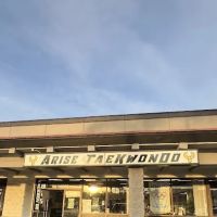 Arise Champion Tae Kwon Do ico