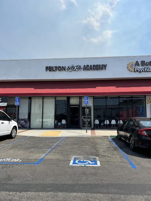 Felton Ninja Academy Picture 6