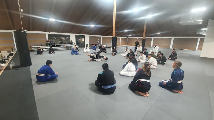 Sektor Jiu Jitsu Chino Picture 4