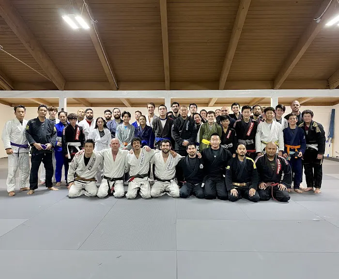 Sektor Jiu Jitsu Chino Picture 8