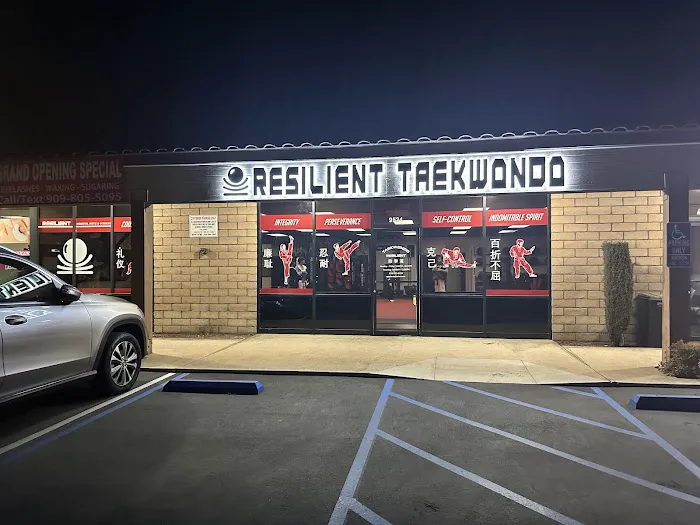 Resilient Martial Arts and Fitness Picture 2