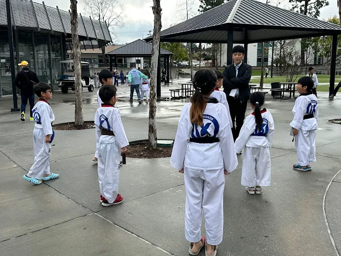 IKICK Taekwondo Picture 3