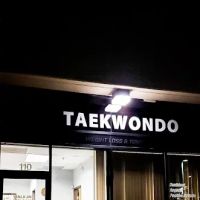 IKICK Taekwondo ico