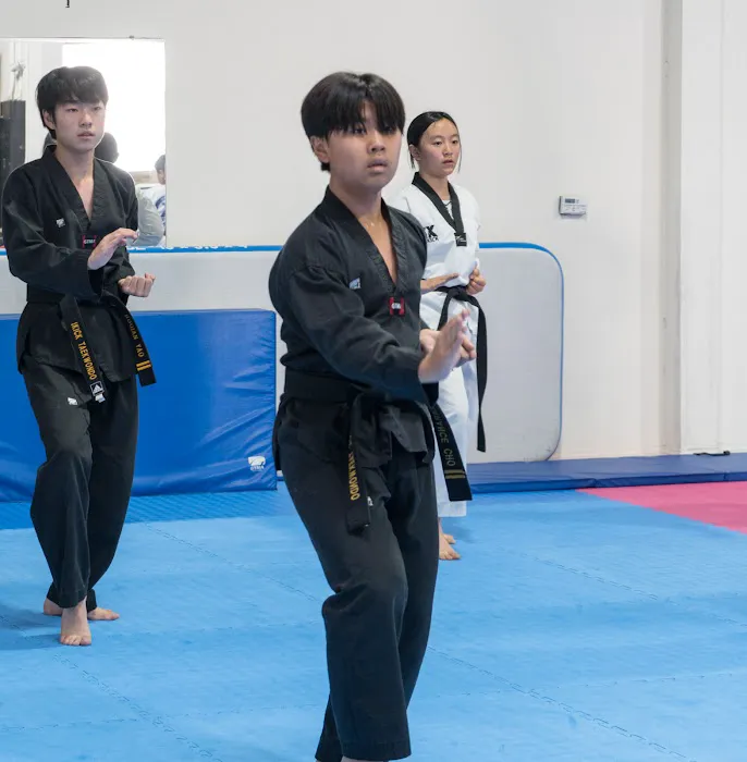 IKICK Taekwondo Picture 7