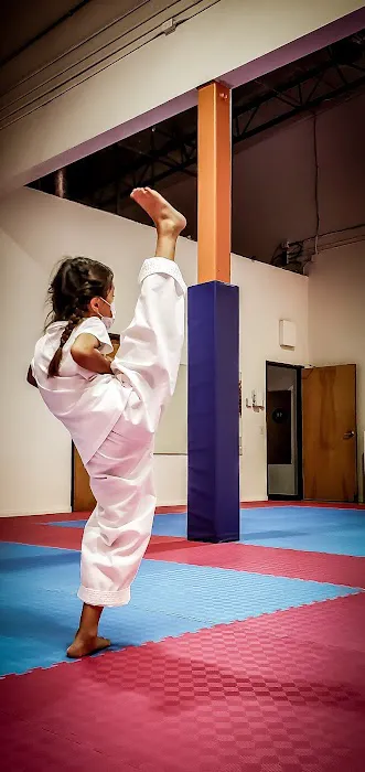 IKICK Taekwondo Picture 8