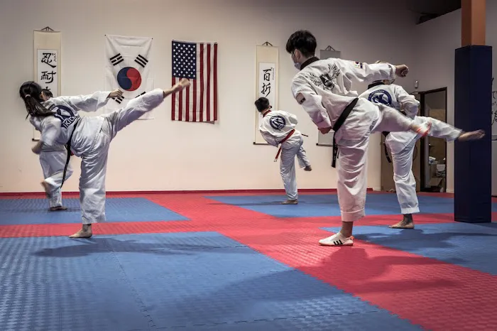 IKICK Taekwondo Picture 9