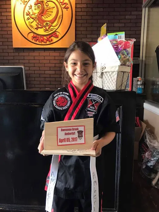 Red Dragon Karate Montclair Picture 8