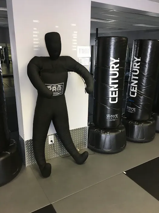 GTMA (Golden Tiger Martial Art) Kens Trading Co Picture 4