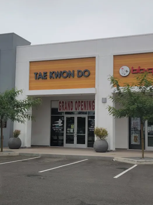 USA Champion Tae Kwon Do Picture 1