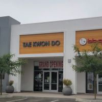 USA Champion Tae Kwon Do ico