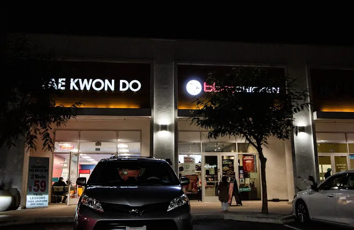 USA Champion Tae Kwon Do Picture 2