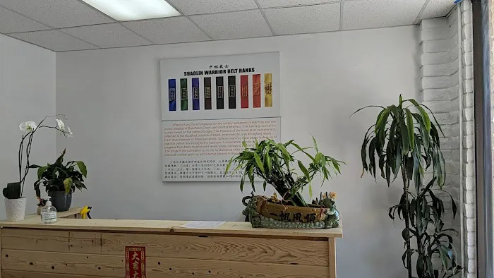 Shaolin Temple Kung Fu Center Picture 5