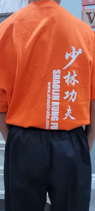 Shaolin Temple Kung Fu Center Picture 7