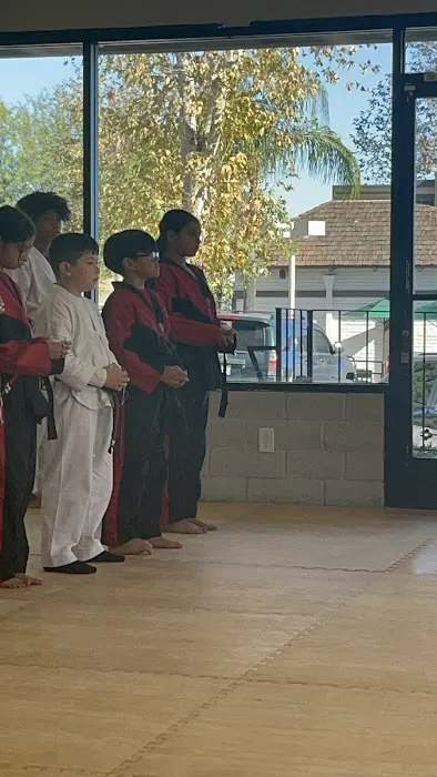 Top Stars Martial Arts Picture 2