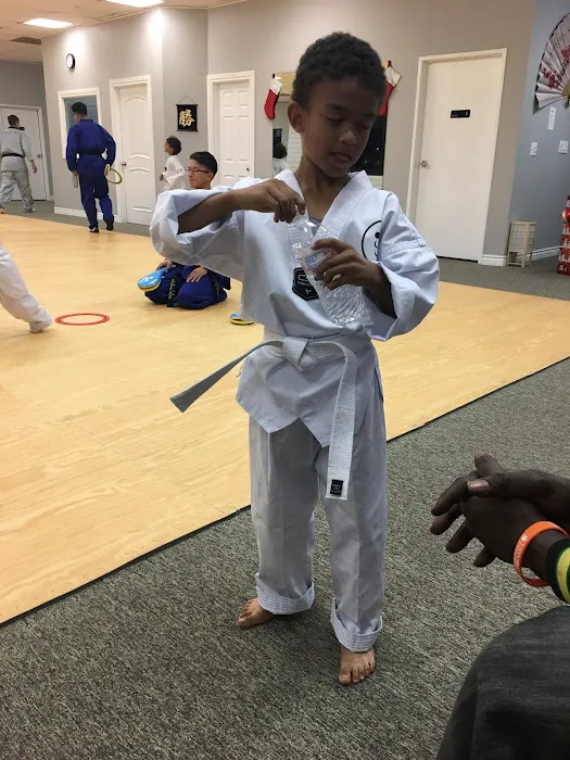 Top Stars Martial Arts Picture 5