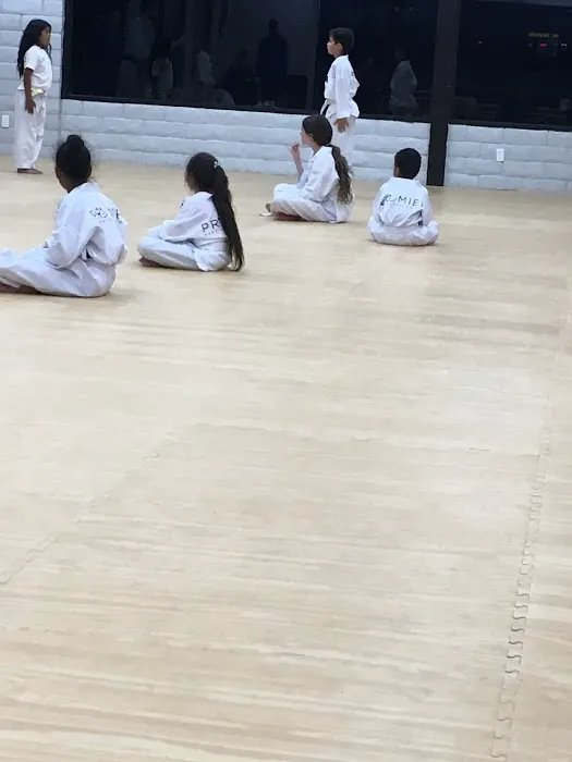 Top Stars Martial Arts Picture 4