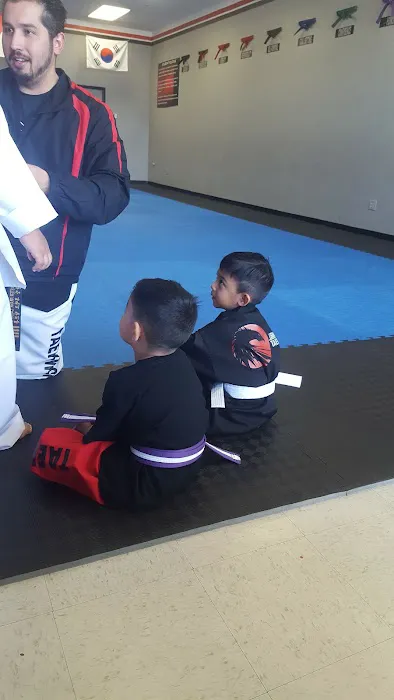 Legendary Heroes Taekwondo Picture 4