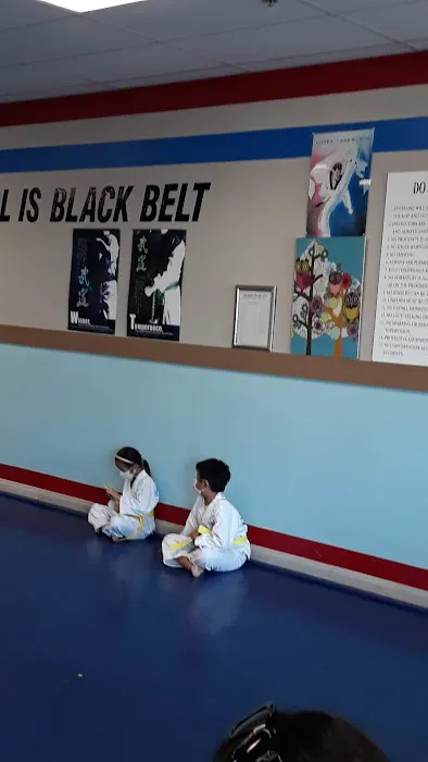 Champion Taekwondo Archibald Picture 5