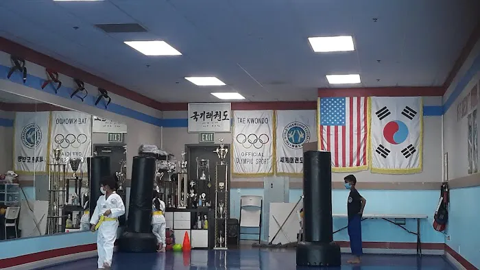 Champion Taekwondo Archibald Picture 7